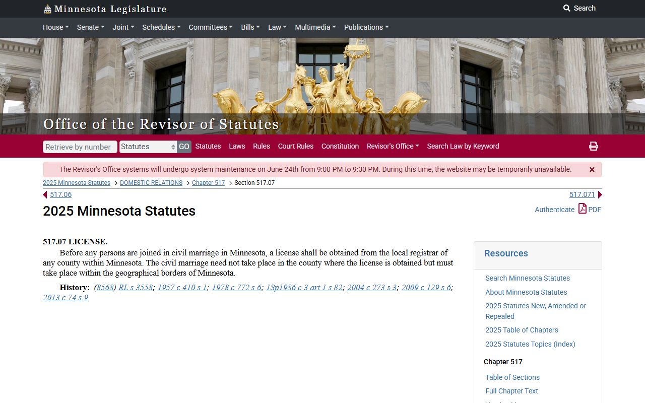 Minnesota marriage license statute